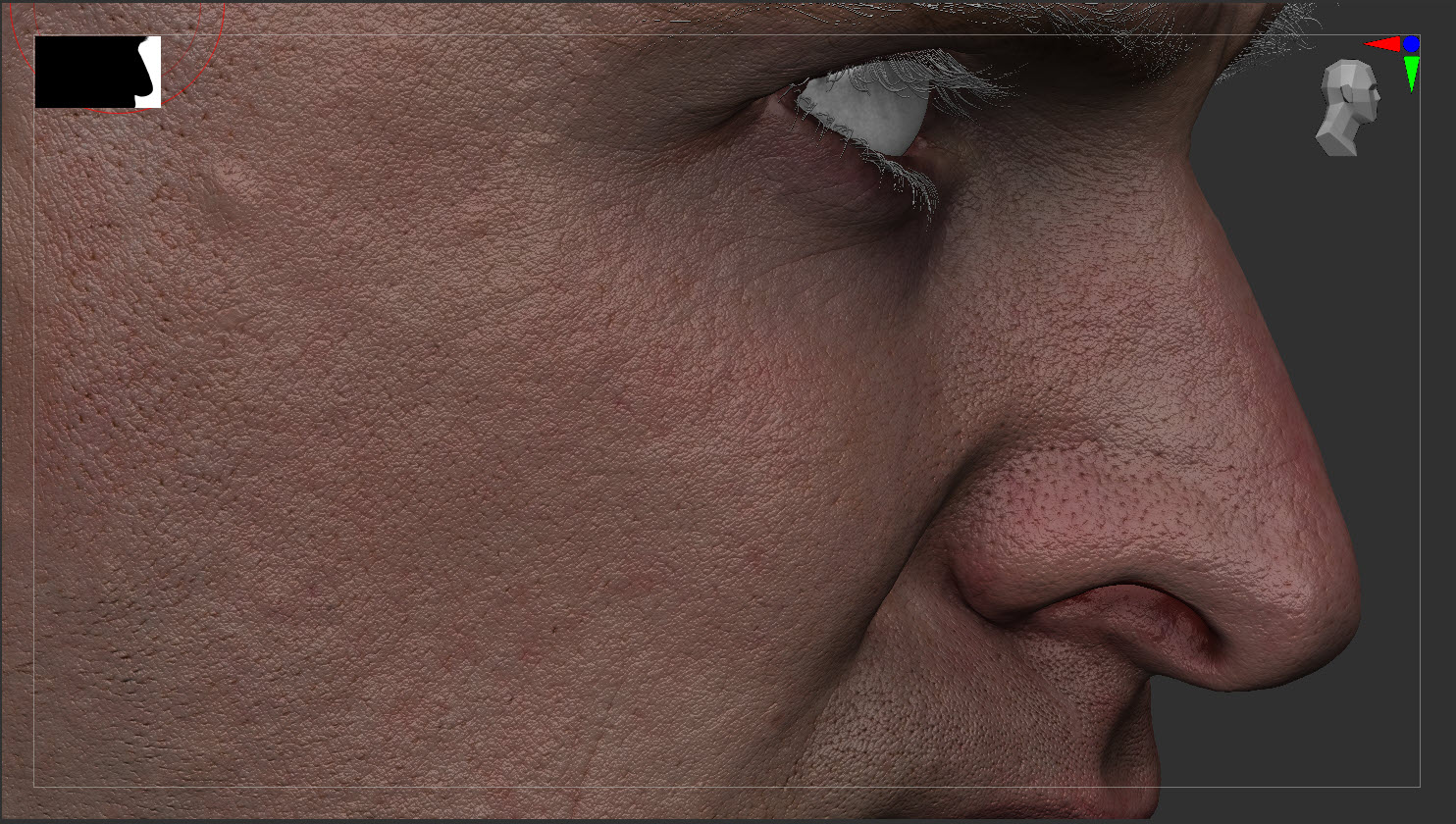 Fotorealistliku digitaalse näomudeli naha- ja shaderidetail